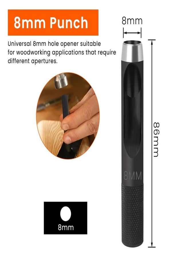 Serplex مجموعة مثقاب غاطس للأعمال الخشبية من سيربلكس®، 11 قطعة، 5 أحجام من رؤوس المثقاب المصنوعة من الفولاذ الكربوني، 6 رؤوس توجيه إضافية، ساق 8 مم، متعددة الاستخدامات في الحفر في الخشب والبلاستيك - طقم أدوات DIY - Image 2